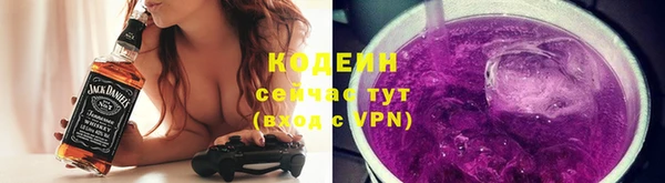стафф Гусев