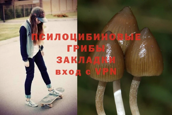 дживик Зуевка