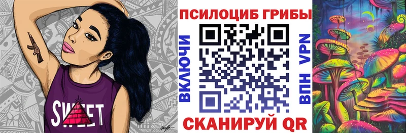 omg ТОР  Светогорск  Галлюциногенные грибы Psilocybe 